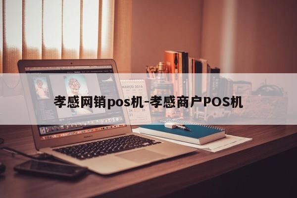 孝感网销pos机-孝感商户POS机