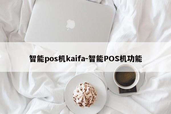 智能pos机kaifa-智能POS机功能