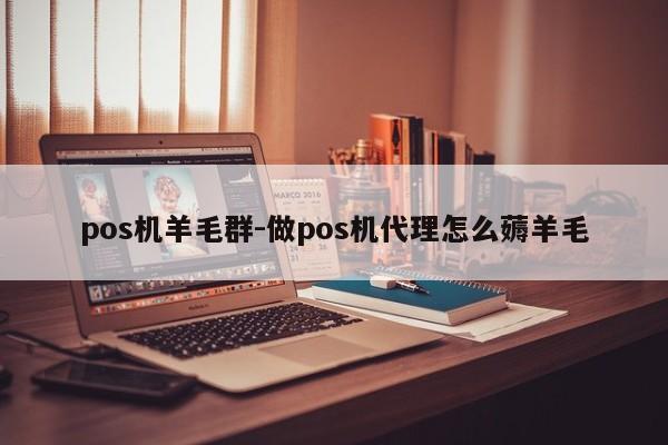 pos机羊毛群-做pos机代理怎么薅羊毛