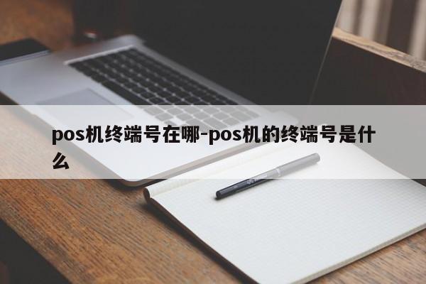 pos机终端号在哪-pos机的终端号是什么
