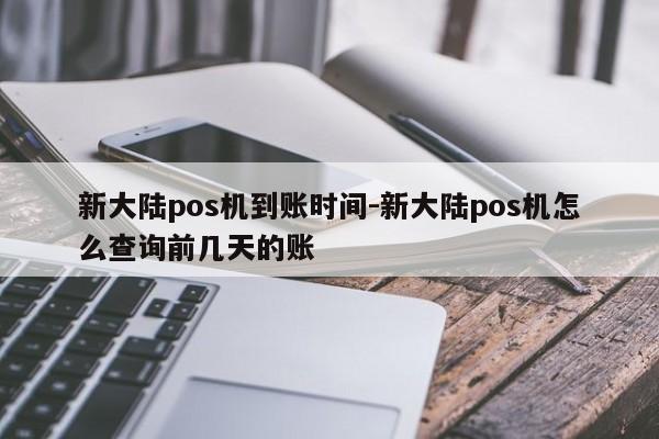 新大陆pos机到账时间-新大陆pos机怎么查询前几天的账
