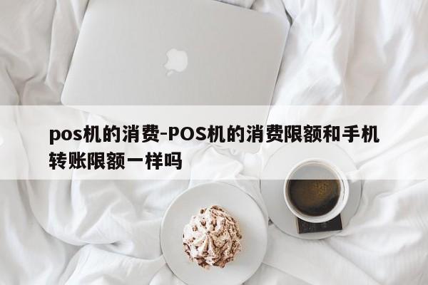 pos机的消费-POS机的消费限额和手机转账限额一样吗