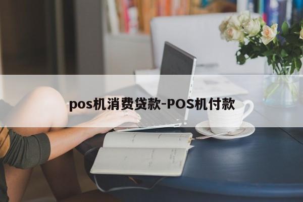 pos机消费贷款-POS机付款