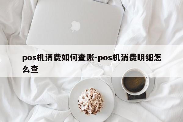 pos机消费如何查账-pos机消费明细怎么查
