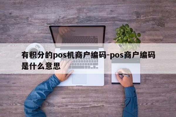 有积分的pos机商户编码-pos商户编码是什么意思
