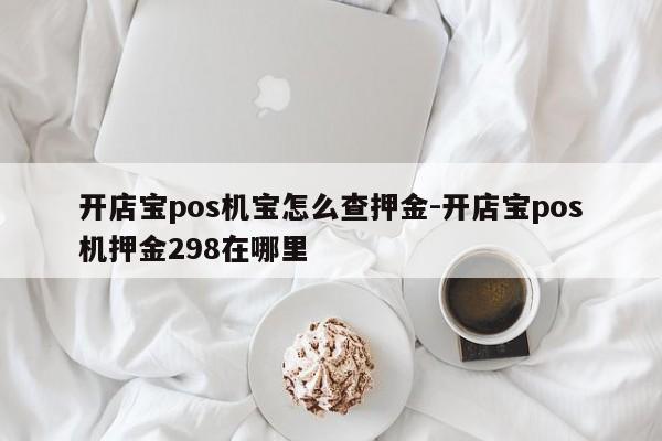 开店宝pos机宝怎么查押金-开店宝pos机押金298在哪里