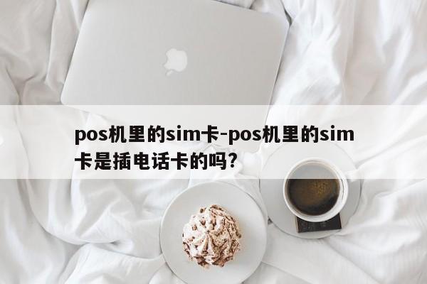 pos机里的sim卡-pos机里的sim卡是插电话卡的吗?