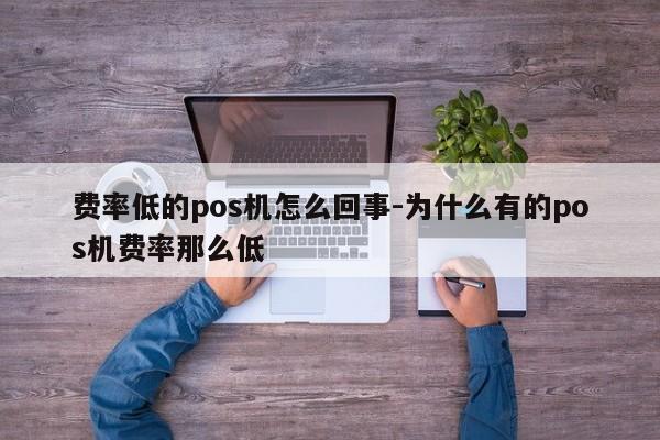费率低的pos机怎么回事-为什么有的pos机费率那么低