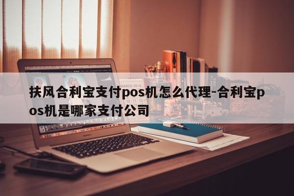 扶风合利宝支付pos机怎么代理-合利宝pos机是哪家支付公司