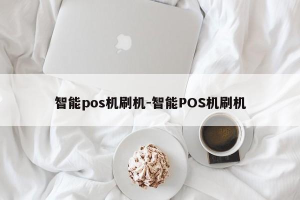 智能pos机刷机-智能POS机刷机