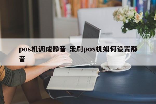 pos机调成静音-乐刷pos机如何设置静音