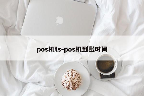 pos机ts-pos机到账时间