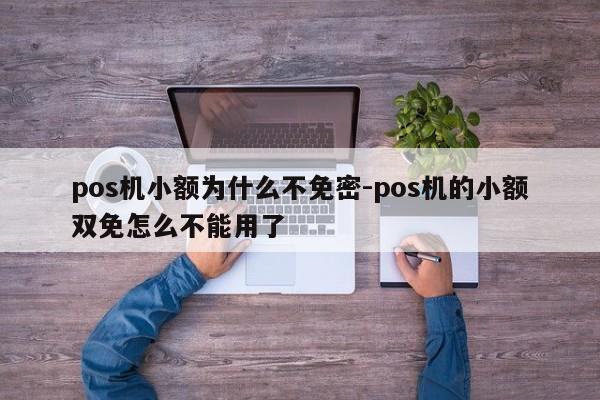 pos机小额为什么不免密-pos机的小额双免怎么不能用了