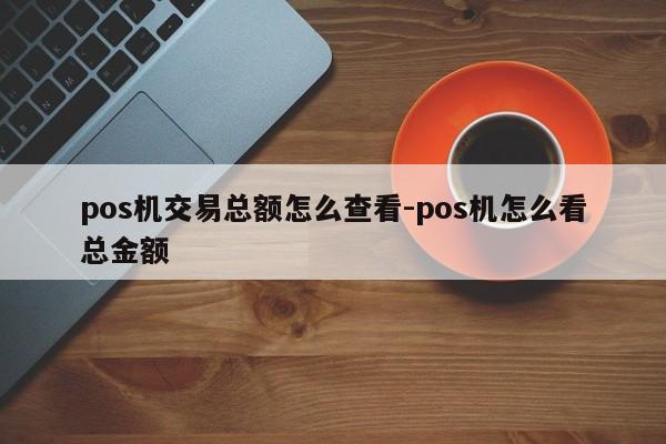 pos机交易总额怎么查看-pos机怎么看总金额