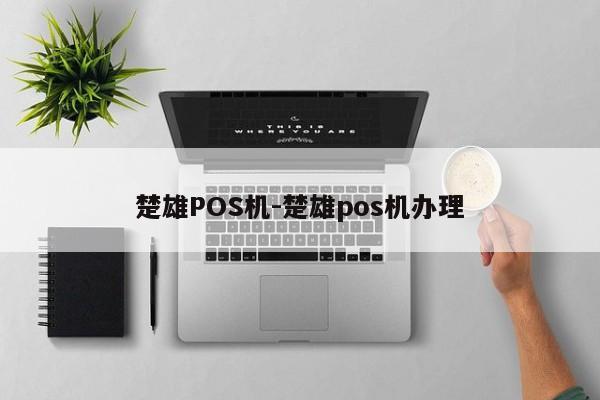楚雄POS机-楚雄pos机办理