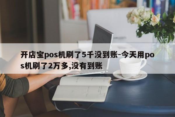 开店宝pos机刷了5千没到账-今天用pos机刷了2万多,没有到账