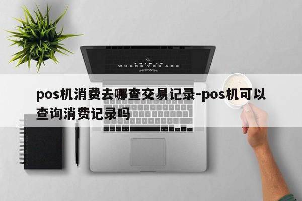 pos机消费去哪查交易记录-pos机可以查询消费记录吗