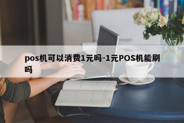 pos机可以消费1元吗-1元POS机能刷吗