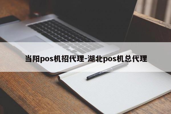 当阳pos机招代理-湖北pos机总代理