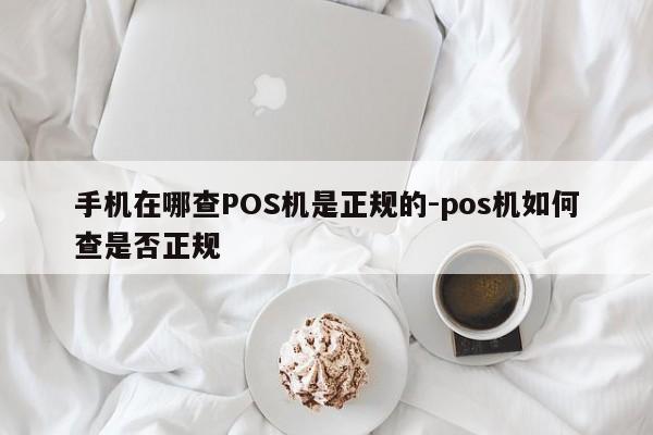 手机在哪查POS机是正规的-pos机如何查是否正规