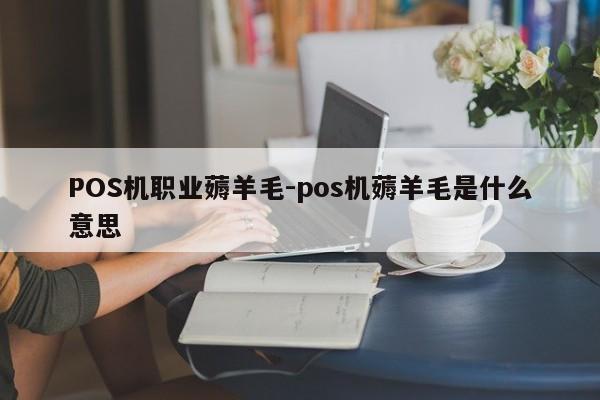 POS机职业薅羊毛-pos机薅羊毛是什么意思