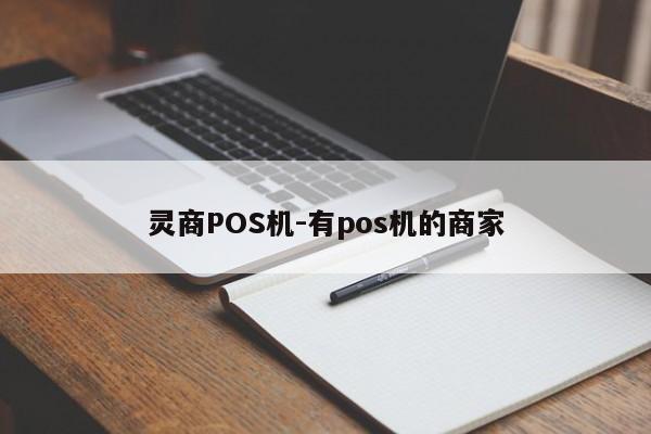 灵商POS机-有pos机的商家