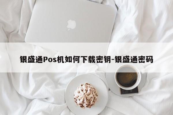 银盛通Pos机如何下载密钥-银盛通密码